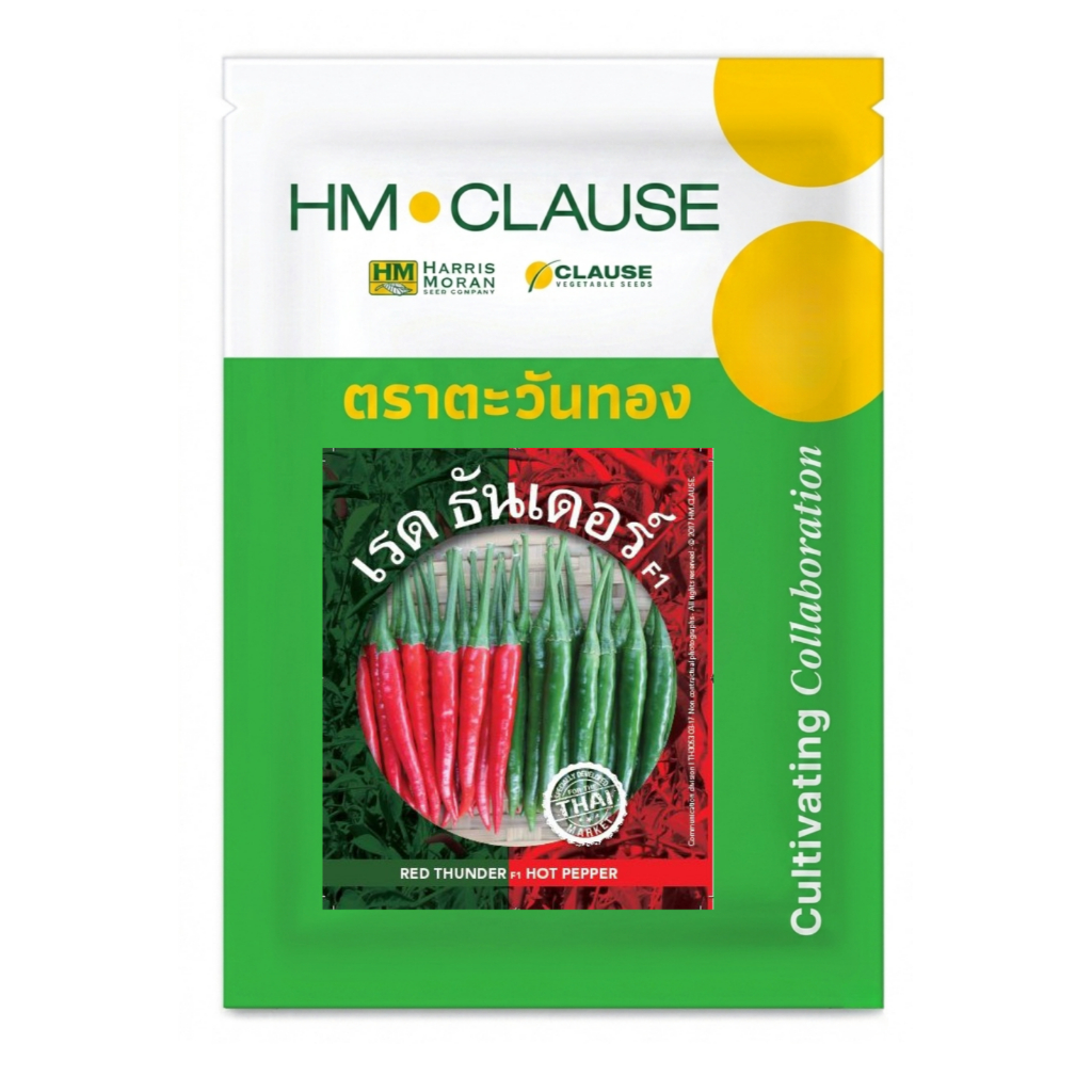HM.CLAUSE ตราตะวันทอง พริกขี้หนู สายพันธุ์ลูกผสม ซูเปอร์ ธันเดอร์  (HOT PEPPER Super Thunder F1) 50 กรัม