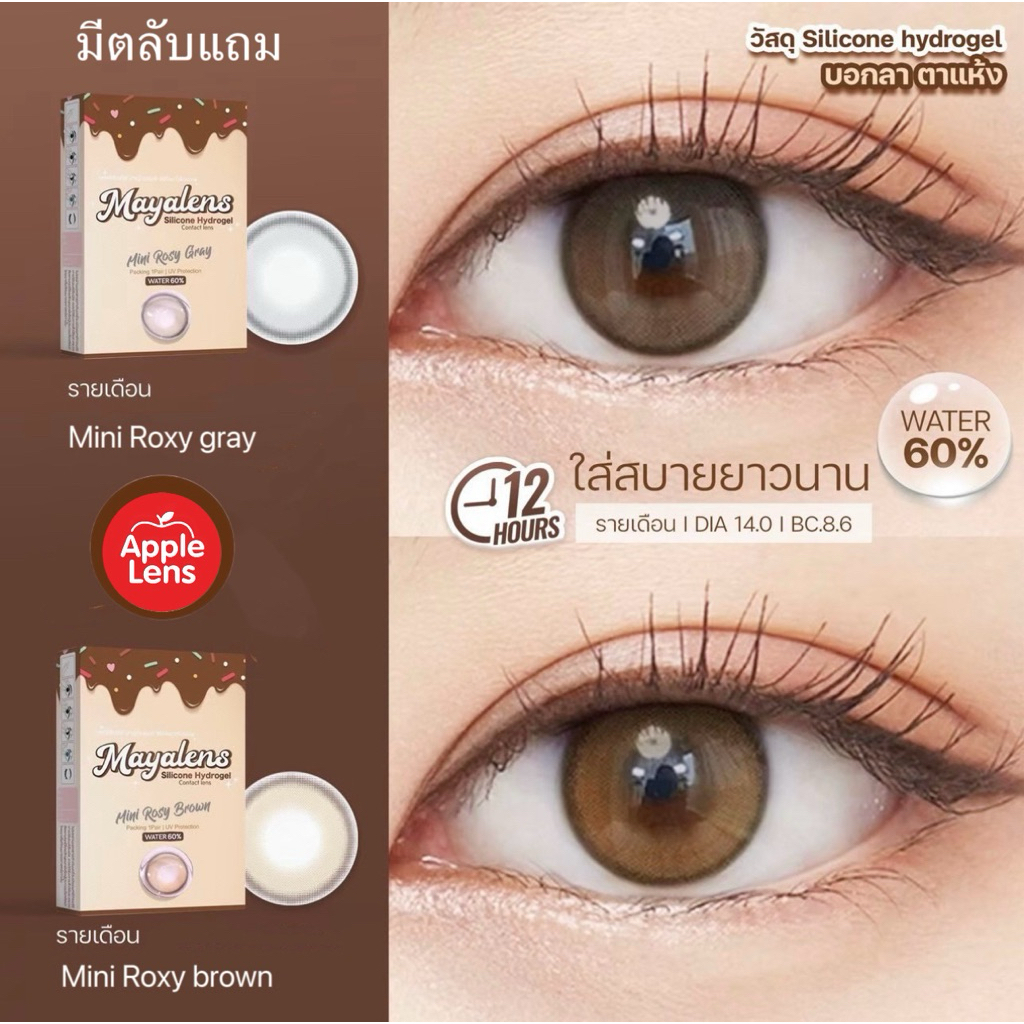 คอนแทคเลนส์ รายเดือน Mini Roxy brown / gray วัสดุ Silicone Hydrogel DIA 14.0 สีธรรมชาติ MAYALENS