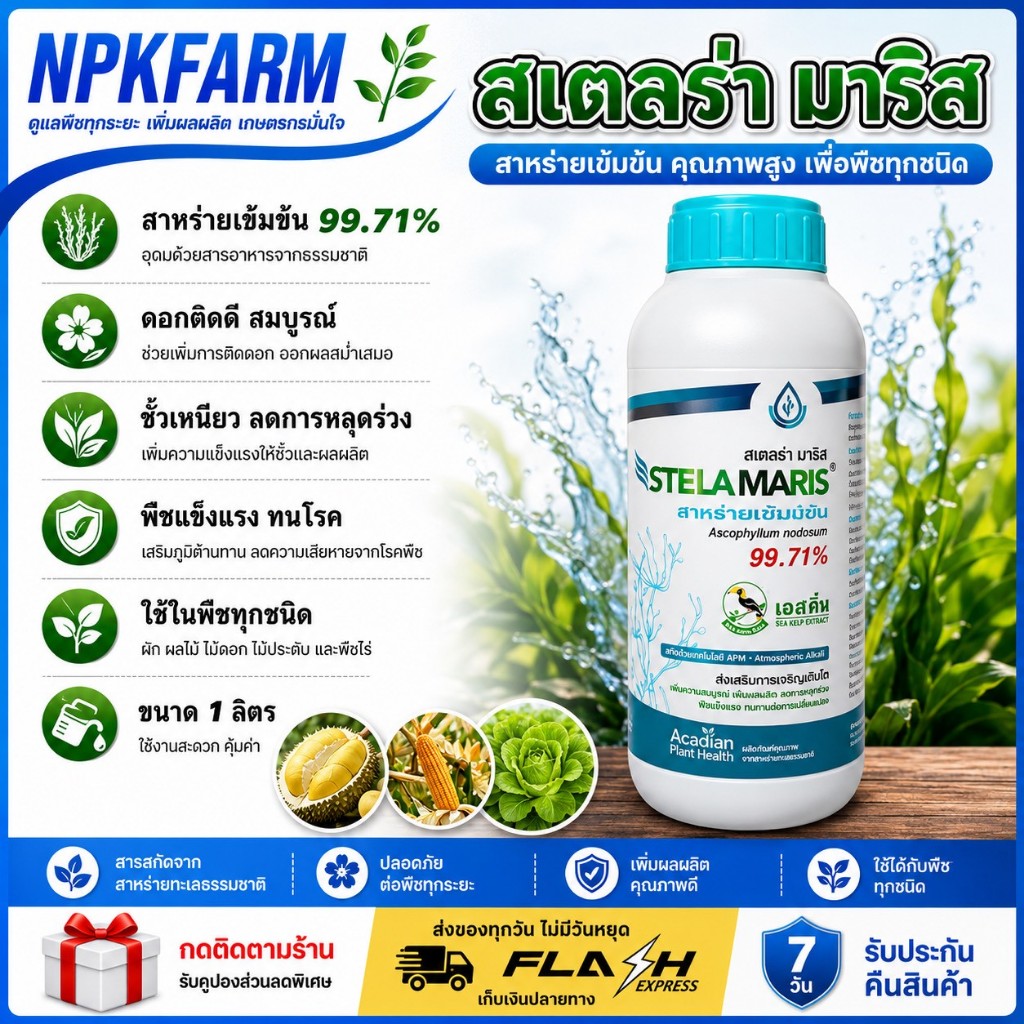 เอสทีม สเตลล่า มาริส สาหร่ายเข้มข้น 99.71% ขนาด 1 ลิตร สูตรเข้มข้น เร่งราก เร่งโต เร่งงาม ดูดซึมดี