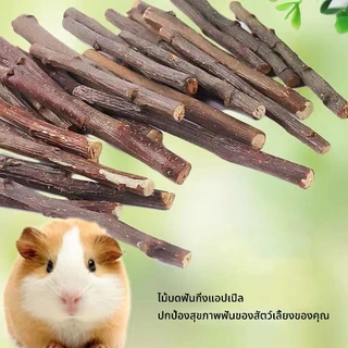 แท่งกัดฟัน🎍ไผ่หวาน🍎ไม้แอปเปิ้ล 100 g.สำหรับสัตว์เลี้ยงฟันแทะ,กระต่าย,ชูการ์,แฮมเตอร์,แพรี่ด็อก