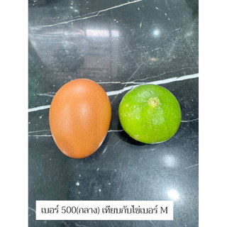 มะนาวแป้นรำไพสวนแท้ เกรดAAA ลูกสวย ใหญ่ กลาง เล็ก 1กิโล 20-40ลูก ตามไซส์ เปลือกบาง น้ำเยอะ หอม ดำเนิน บ้านแพ้ว