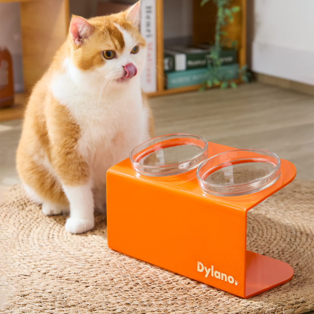ชามอาหารยกสูงปรับองศา ไซส์ S แบบคู่ | Dylano's S Double Stand with Bowl