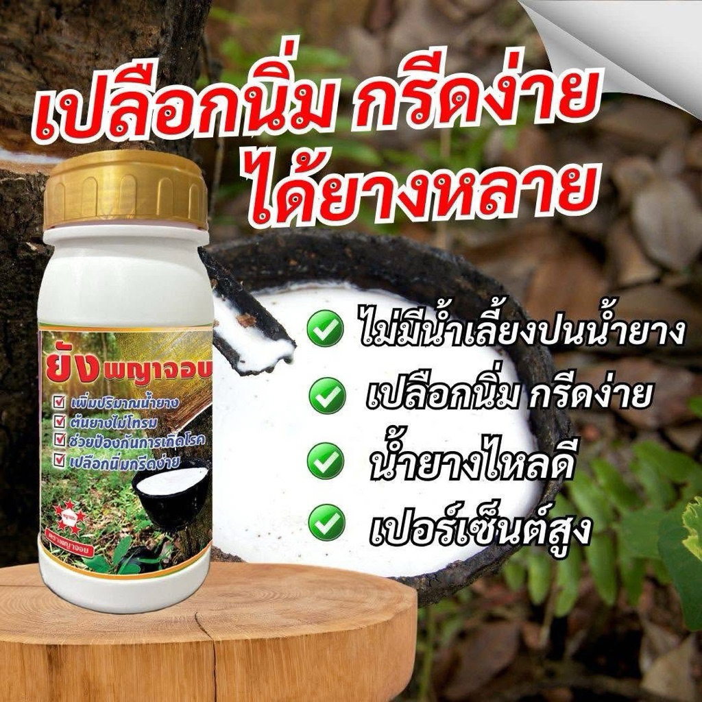 น้ำยาทาหน้ายางยังพญาจอบ(ของแท้)