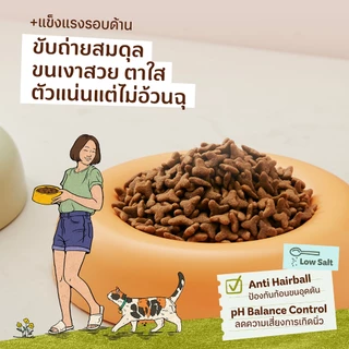 [แพ็คคู่] Tiffany Cat อาหารแมว 1.5 กิโลกรัม x 2 ถุง