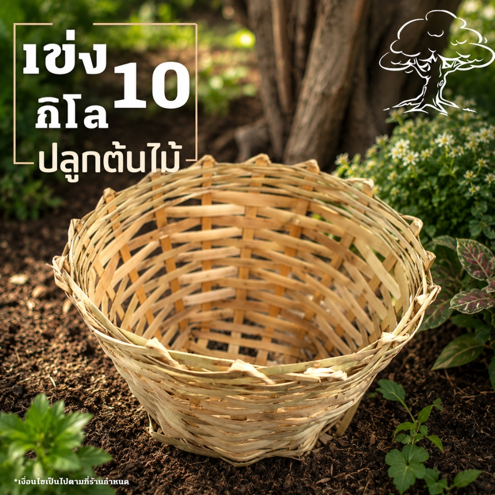 เข่งปลูกต้นไม้ เข่ง10กิโล เข่งไม้ไผ่ เข่ง 13 นิ้ว เข่งปลูกผัก ขนาด 30*23*16 ซม. (เข่ง10โล1ใบ)