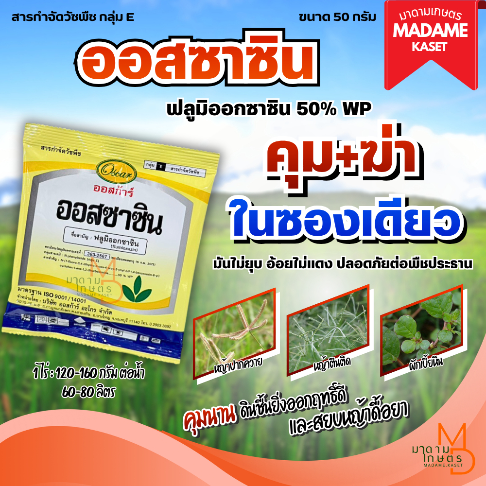 ใหม่! ออสซาซิน (ฟลูมิออกซาซิน 50% WP) ขนาด 50 กรัม สารกำจัดวัชพืชก่อนงอกและหลังงอกระยะแรก คุม-ฆ่าหญ้า มันสำปะหลัง อ้อย แ