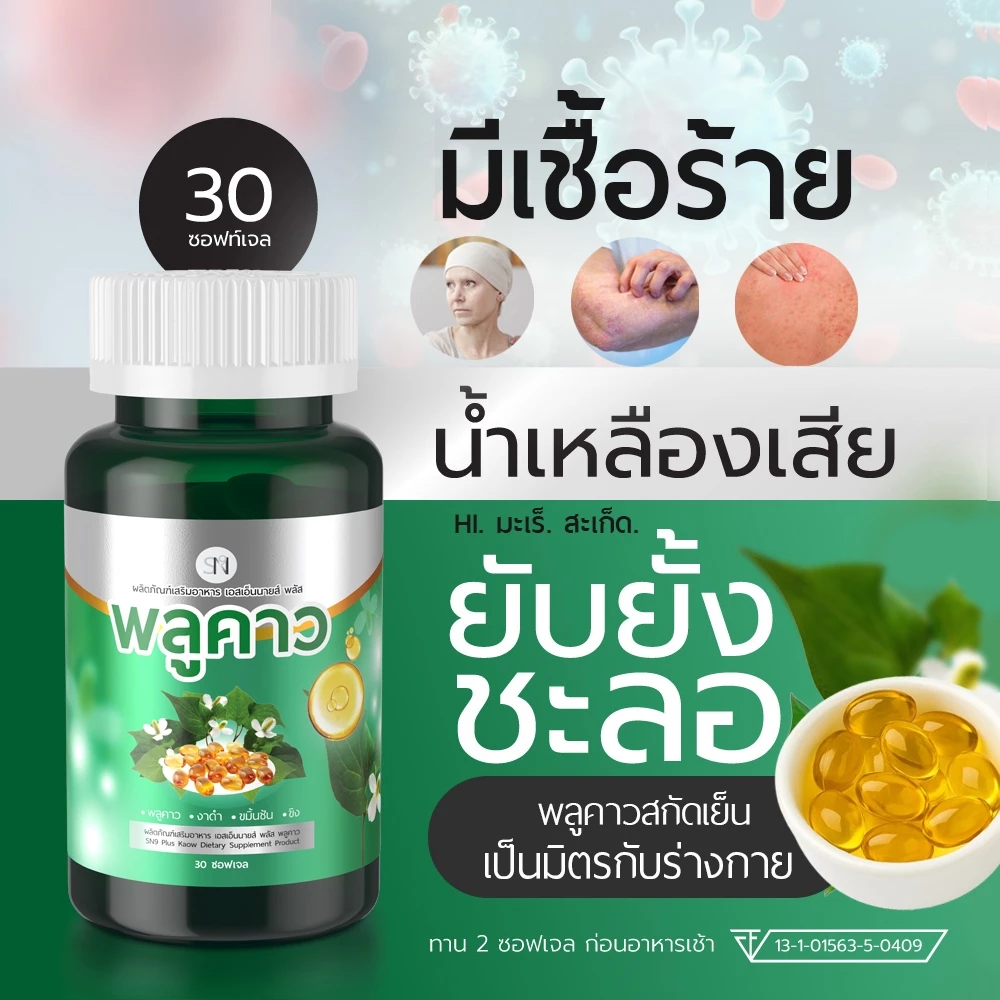 Mall-[ตะกล้าบริษัท] SN9พลูคาวสกัดเย็น พลูคาว คาวตอง SN9 Plus Plu kaow แบรนด์SN9
