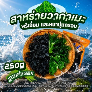 แท้💯สาหร่ายวากาเมะเกรดส่งออก แบบพรีเมี่ยม 250g เกรดคล้ายตี๋น้อย วากาเมะใหม่ต้นฤดู พองตัวได้15เท่า Dried Wakame Seaw
