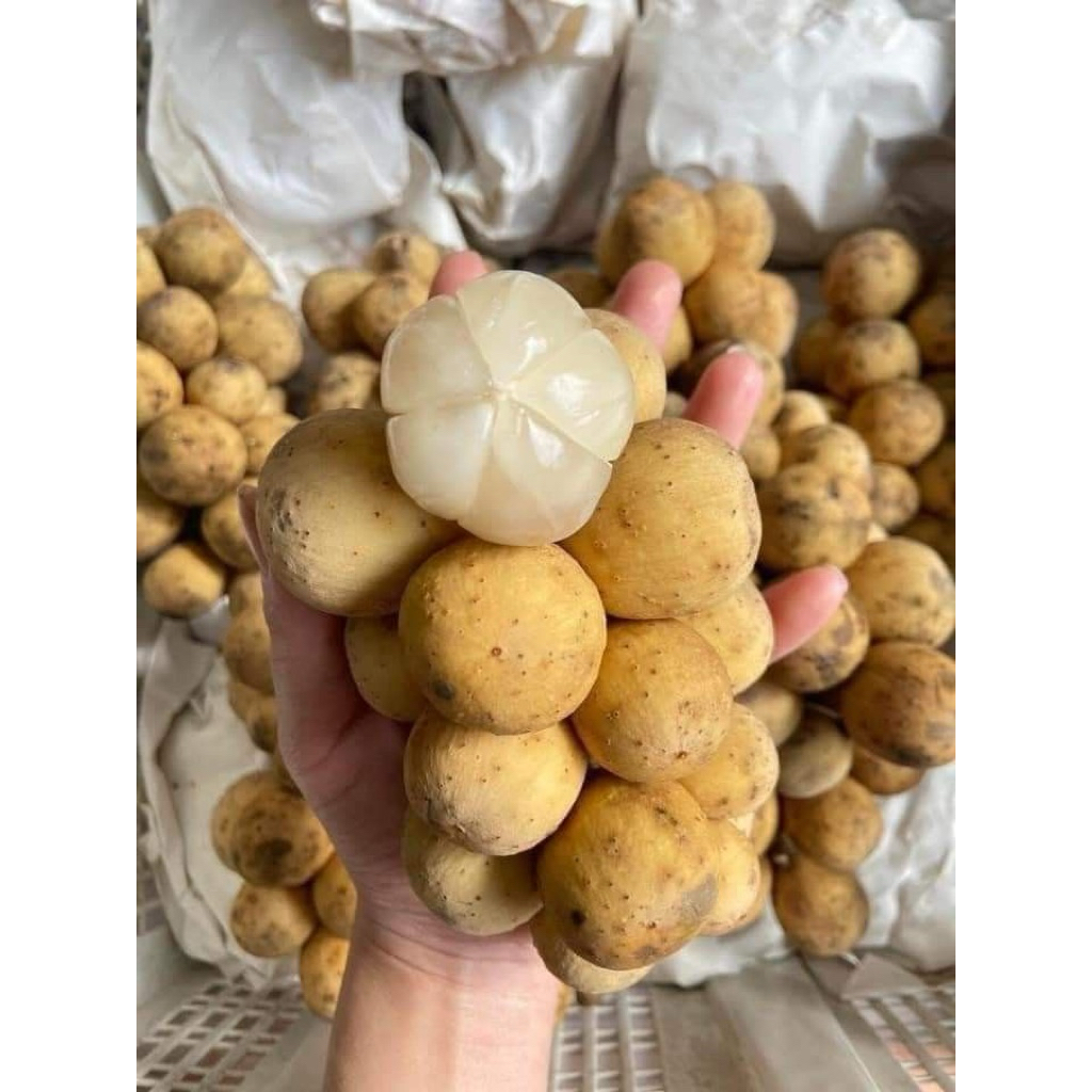 ทำด้วยใจ ลองกองจันทบุรี เกรดพรีเมียม ช่อใหญ่ ผิวสวย เนื้อใส เมล็ดลีบ หวาน