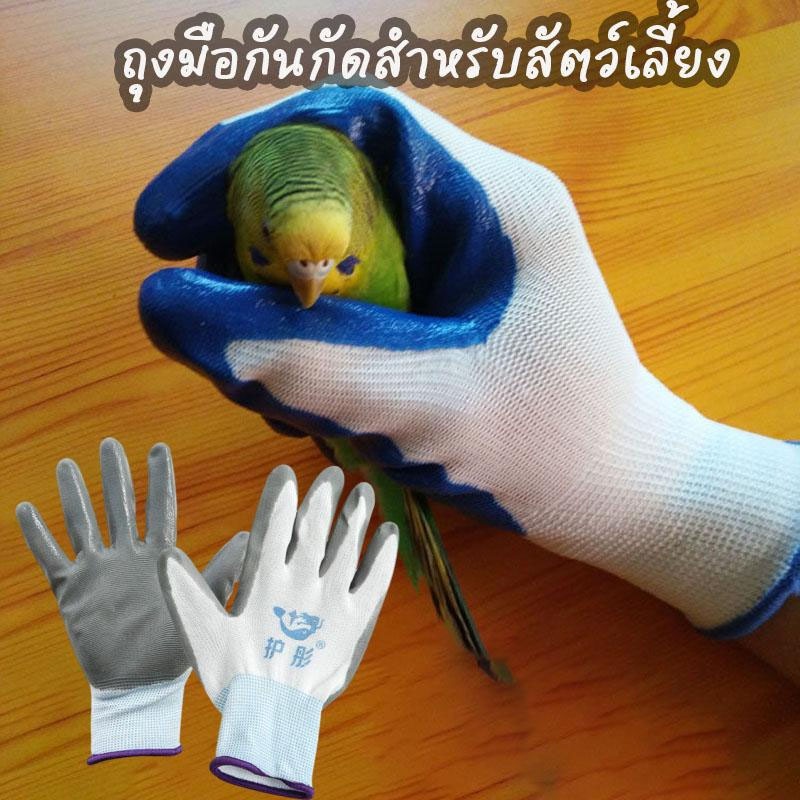 ถุงมือกันกัดสำหรับสัตว์เลี้ยง ถุงมือฝึกนก ถุงมือเล่นกับนก อุปกรณ์ป้องกันการกัดจากสัตว์เลี้ยง เพาะพันธุ์นกแก้ว อุปกรณ์จับ