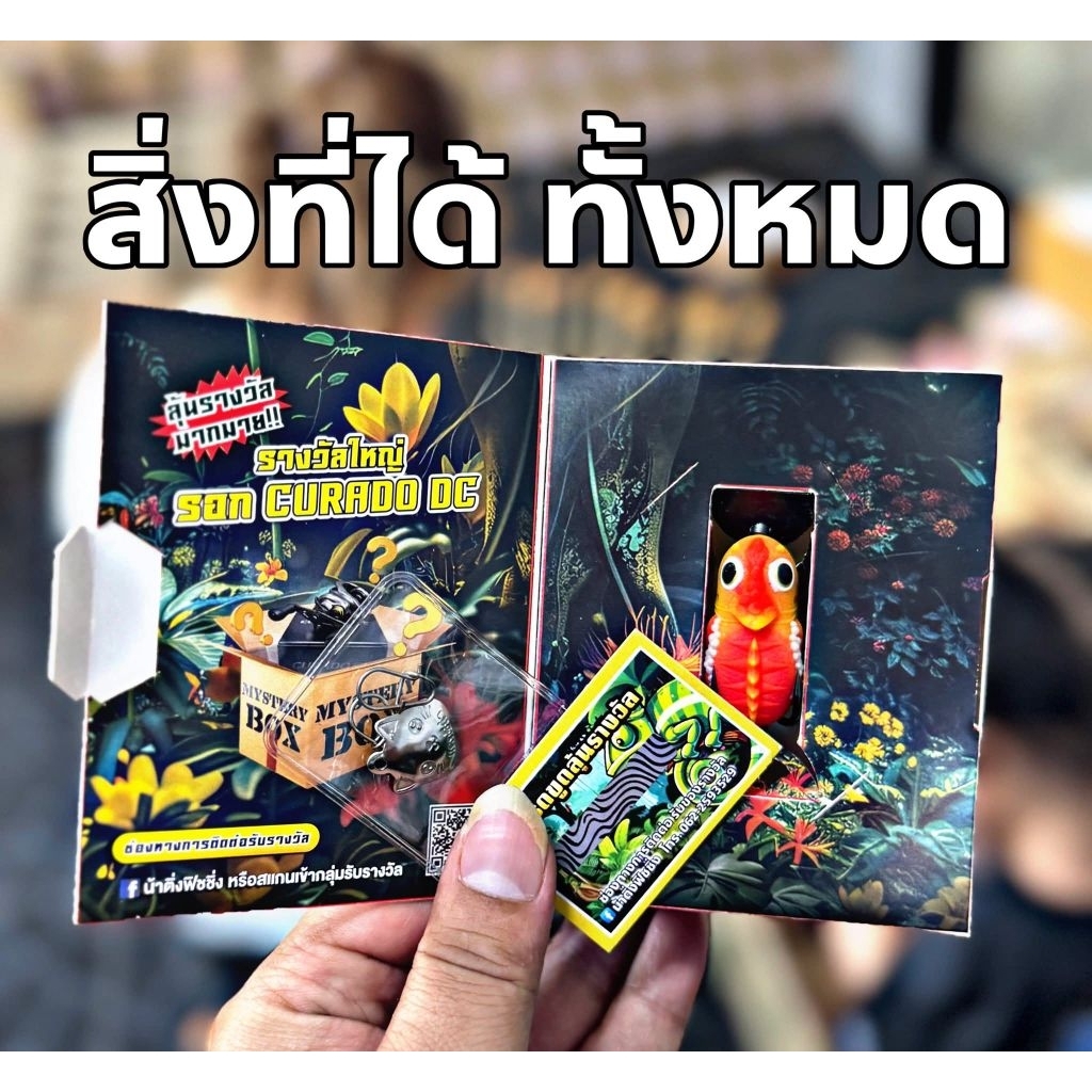 Thumbnail 5