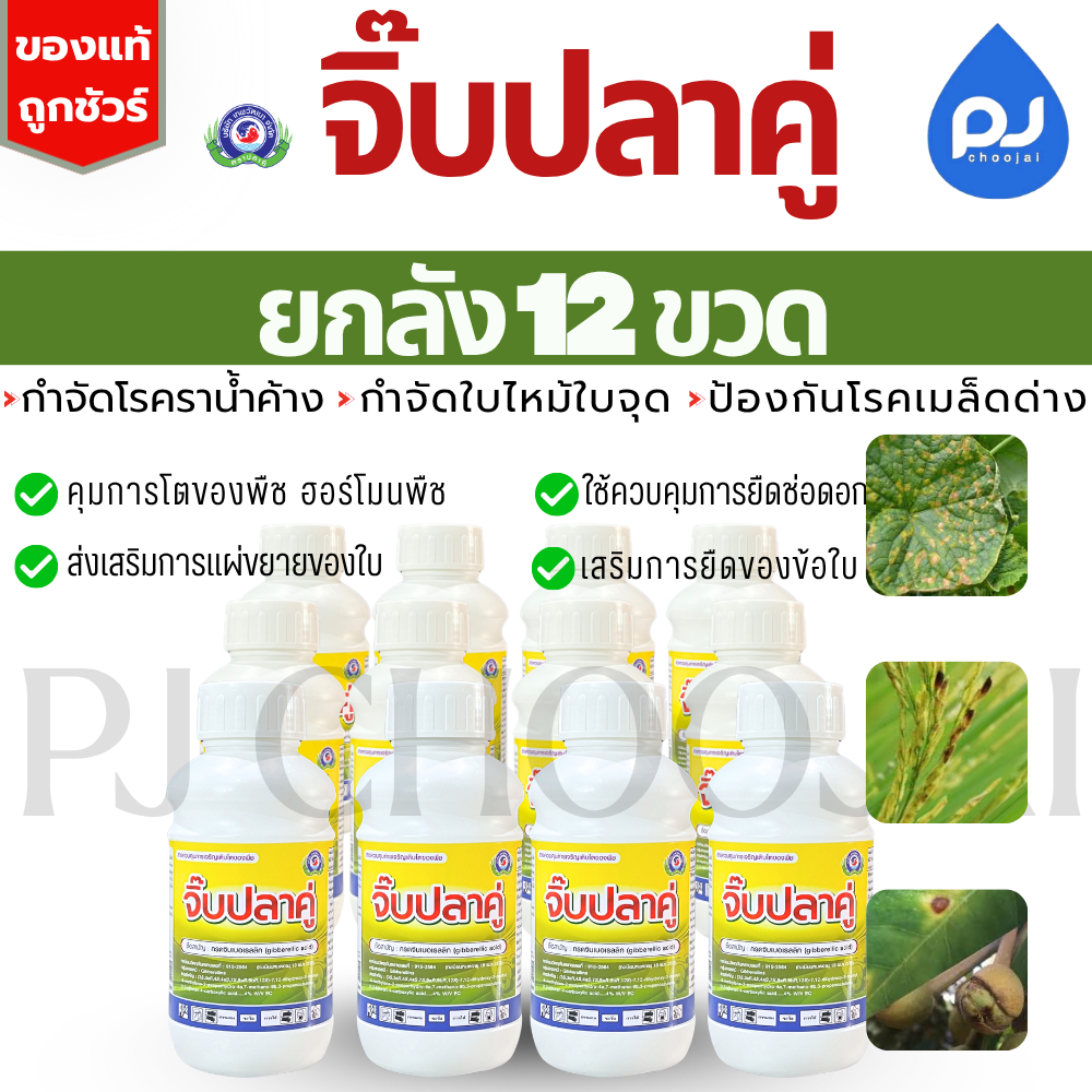 ยกลังจิ๊บปลาคู่ 500ซีซีx12ขวด สารควบคุมการเติบโตพืช