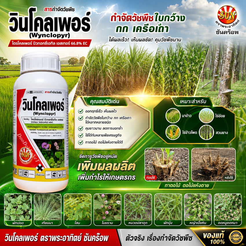 วินโคลเพอร์ ไตรโคลเพอร์66.8%EC กำจัดหญ้าเลื้อย ใบกว้าง กก ในนาข้าว อ้อย ข้าวโพด ฉีดทับๆได้ เช่น โสน ผักเบี้ย ผักปอด