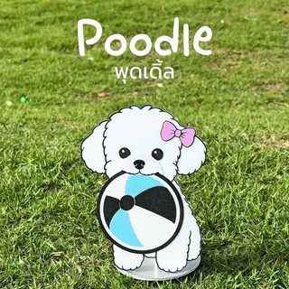 Dogcha Collection - Case Matcha Sifter เคสตะแกรงร่อนมัทฉะ 2 in 1
