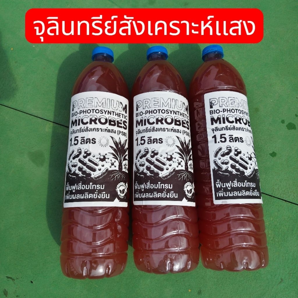 จุลินทรีย์สังเคราะห์แสง (1.5 ลิตร ) สำหรับพืช ฟื้นฟูโทรม เพิ่มผลผลิต บำรุงราก ปรับสภาพดิน แข็งแรงโตไว