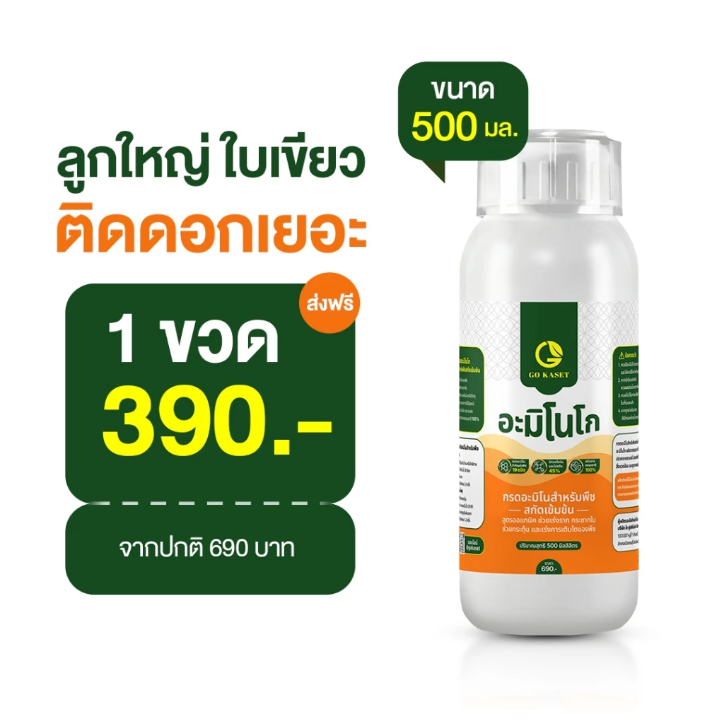 [1ขวด] อะมิโนโก(ขวดเล็ก) 500 ML - AMINO GO กรดอะมิโนสำคัญต่อพืช 19 ชนิด ปุ๋ยน้ำ ปุ๋ยกุหลาบ เร่งราก