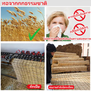 🔥จัดส่งจากกรุงเทพฯ🔥 ม่านบังแดดไม้ไผ่ ตะปูยึดผนัง ม่านฟางตกแต่ง กันแดดและกันน้ำ ม่านปรับแสง