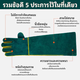 PETLUSCI ถุงมือกันกัด 35/60cm ถุงมือฝึกสุนัข ถุงมือจับแมว งกันการฉีกขาดและกัด ทำจากหนังวัวแท้