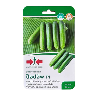 ศรแดง แตงกวา ป๊อปอัพ F1 (70 เมล็ด)