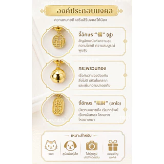 สร้อยคอ ปลอกคอ สัตว์เลี้ยง มงคล ลูกปัดทอง 6มิล กระพรวนทอง ยางยืด จี้อักษรจีนเรียกทรัพย์ เสริมโชคลาภ ปลอดภัย ใส่สวยหรู