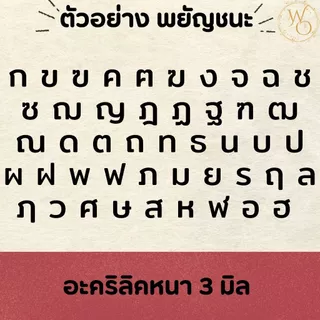 ตัวอักษรภาษาไทยอะคริลิคขนาด 3 6 และ 10 ซม. อะคริลิคหนา 3 มิล ตกแต่งห้องนอน ร้านอาหาร (แบบที่3)