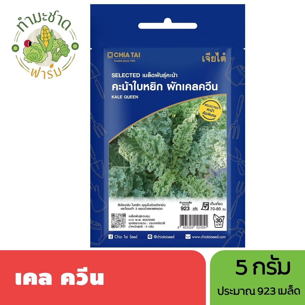 เจียไต๋ (Easy) เมล็ดพันธุ์ เคลควีน ขนาด5กรัม ประมาณ923เมล็ด Kale ผักเคล เคล เมล็ดพันธุ์พืช เมล็ดผัก ปลูกผักสวนครัว