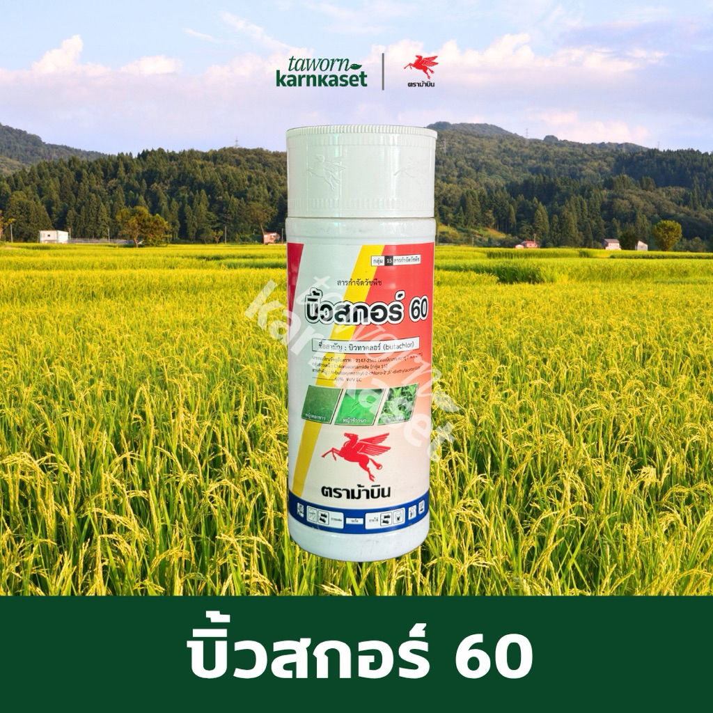 บิ้วสกอร์ 60 ( บิวทาคลอร์ ) ขนาด 1ลิตร  ตราม้าบิน ยาคุมเลนนาข้าว ไม่หงิก ไม่แดง ดูดซึมเข้าทางราก/ปลายยอด	 	 	 	 	 	 	 	