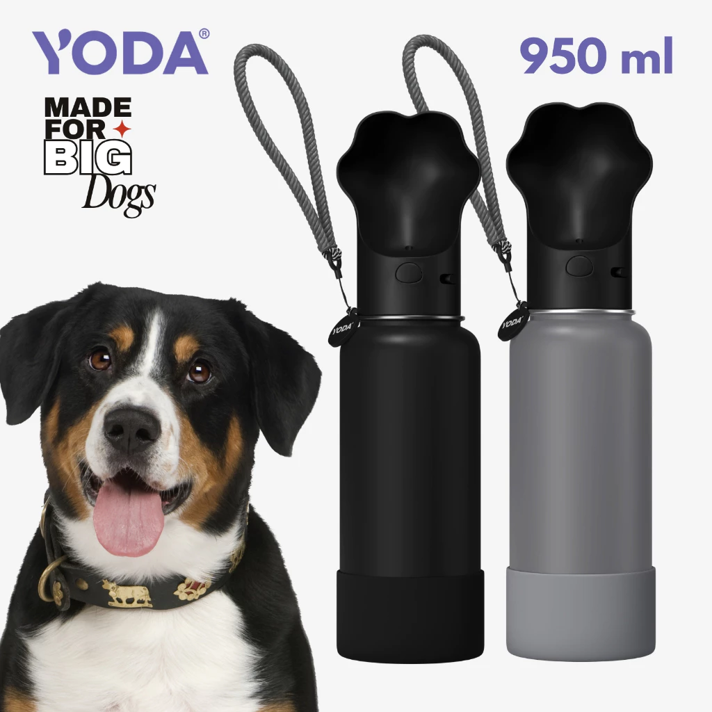 (JUMBO) YodaBottle กระติกน้ำเย็นสัตว์เลี้ยง 950มล สลักชื่อ ฟรี