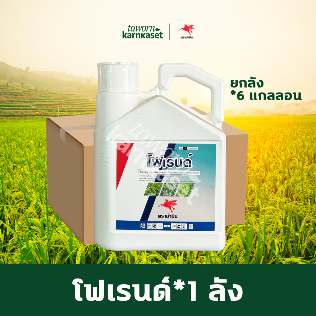 โฟเรนด์ (กลูโฟซิเนต-แอมโมเนียม) | ยกลัง | ขนาด 4 ลิตร  ตราม้าบิน กำจัดวัชพืช