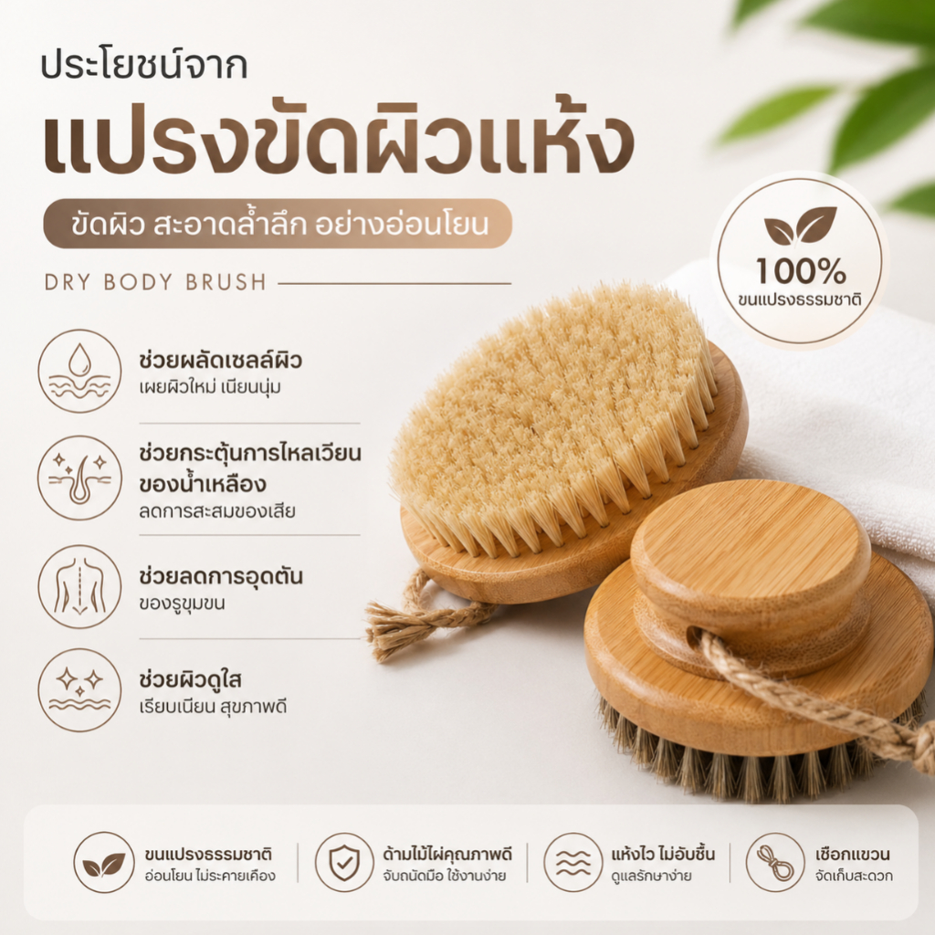 แปรงขัดผิวแห้ง Dry Brush ขนแปรงไม้ไผ่ธรรมชาติ 100% ช่วยผลัดเซลล์ผิวเก่า นวดกระตุ้นการไหลเวียนโลหิต ผิวเรียบเนียน สุขภาพด