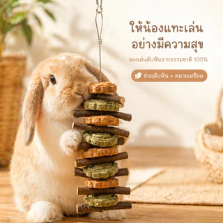 PETLUSCI® โมบาย ของเล่นลับฟัน ของเล่นกระต่าย ไม้ลับฟันกระต่ายและคุ้กกี้หญ้า ของเล่นกระต่าย โมบายไม้แอปเปิ้ล ไม้ไผ่หวาน