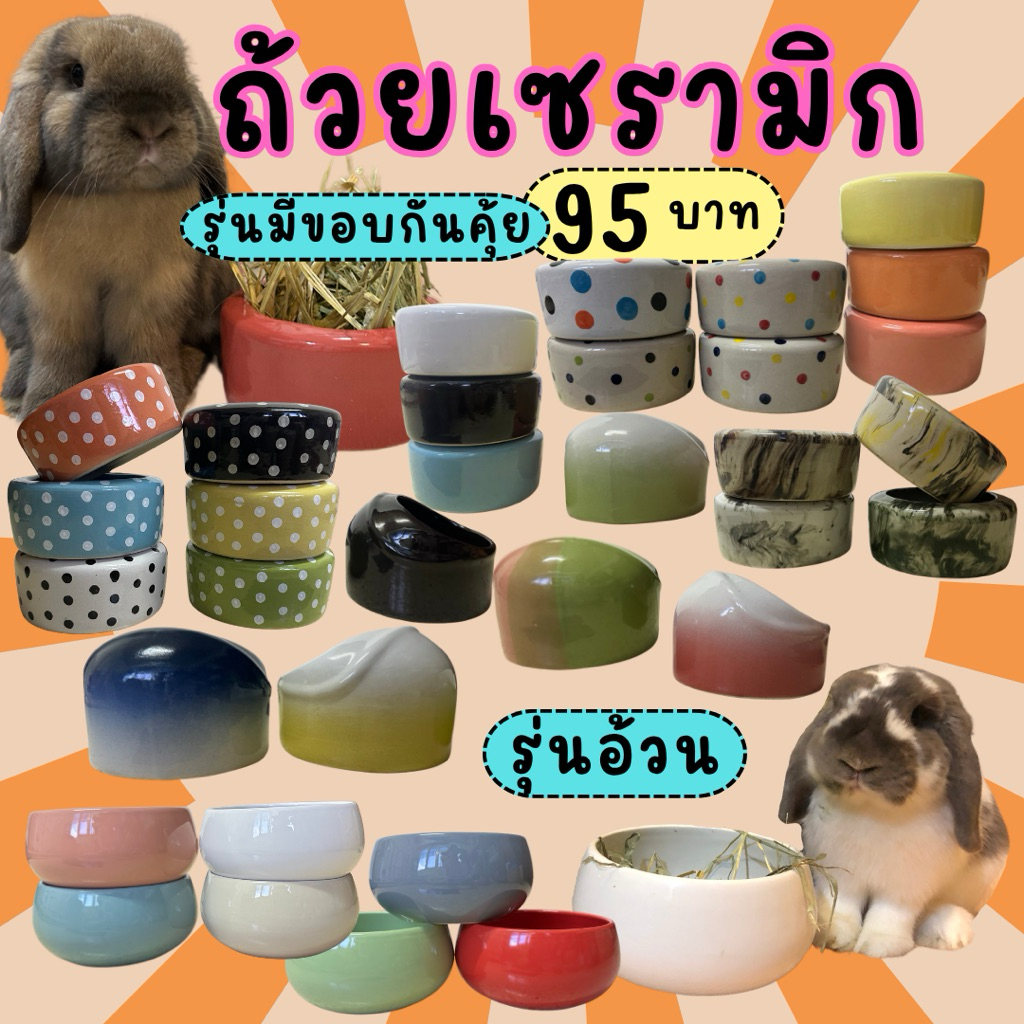 **สีใหม่เข้าแล้ว**ถ้วยเซรามิก(ขนาดใหญ่)ถ้วยอาหารกระต่ายและสัตว์ฟันแทะ