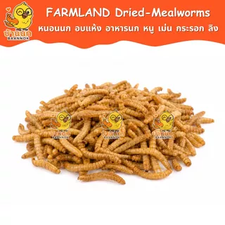 Farmland Healthy Dried Mealworms Snack 80g หนอนนก หนอนอบแห้ง อาหารหนู นก นกแก้ว