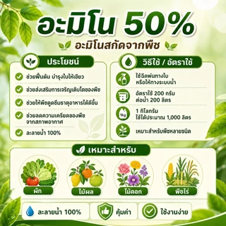 อะมิโน แอซิด กรดอะมิโนสำหรับพืช Amino Acid Powder บำรุงโครงสร้างใบ ดอก ผล ยืดช่อ ขนาด 500/1,000 กรัม