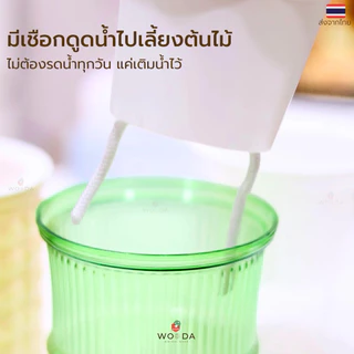 กระถางพลาสติกรดน้ำอัตโนมัติ ส่งจากไทย