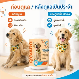 Qyvaro เสริมอาหารสุนัข ป้องกันเห็บ หมัด ปรสิตภายใน บำรุงสุขภาพสุนัข