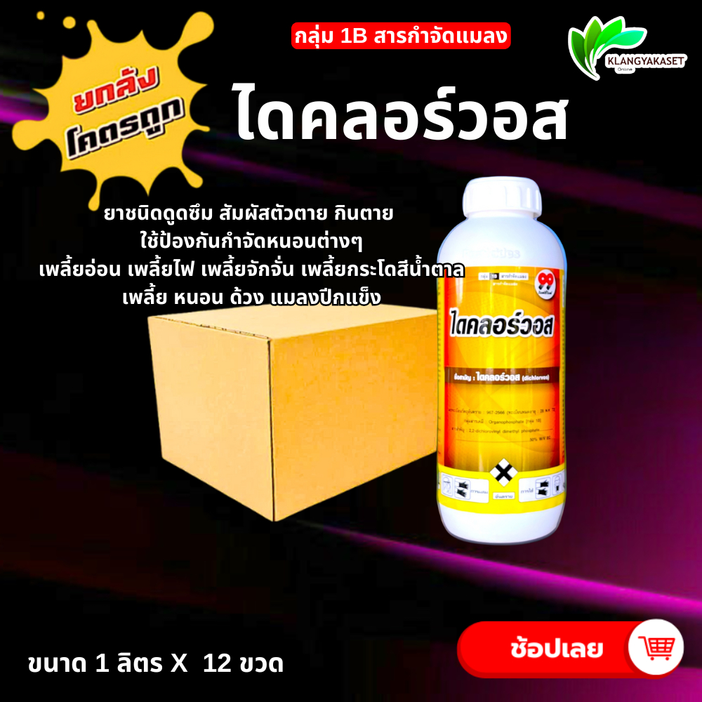 ยกลัง 12 ขวด ไดคลอร์วอส 99 50% เดสมอนด์  เอ็กซโคลวอส  คราฟเวิร์ค  กำจัดหนอน เพลี้ย ตายเกลี้ยง หยดเพลี้ยกระโดด