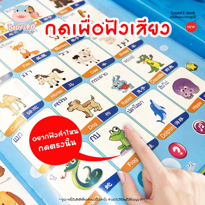 SALE6.6🔥 หนังสือจินดา หนังสือพูดได้ หนังสือจินดาพูดได้ 3 ภาษา หนังสือสอนภาษา มีภาพและเสียงไทย จีน อังกฤษ thumbnail 5
