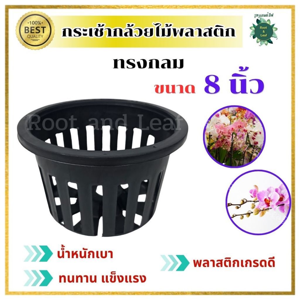 กระเช้ากล้วยไม้ ทรงสี่เหลี่ยม ขนาด 8 นิ้ว กระเช้าพลาสติก พลาสติกเกรดดี น้ำหนักเบา มีรูสำหรับแขวน ทนแดดทนฝน แขวนสวย