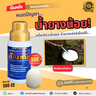 เป็นหนึ่งปุ๋ยทาหน้ายาง สูตรฝาทอง 15ปีขึ้นไป ขนาด 500cc แถมแปรงทุกออเดอร์