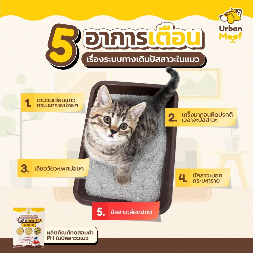 Urban Moof PH Test Beads ผลิตภัณฑ์ทดสอบค่า PH ในปัสสาวะแมว รูปที่ 3