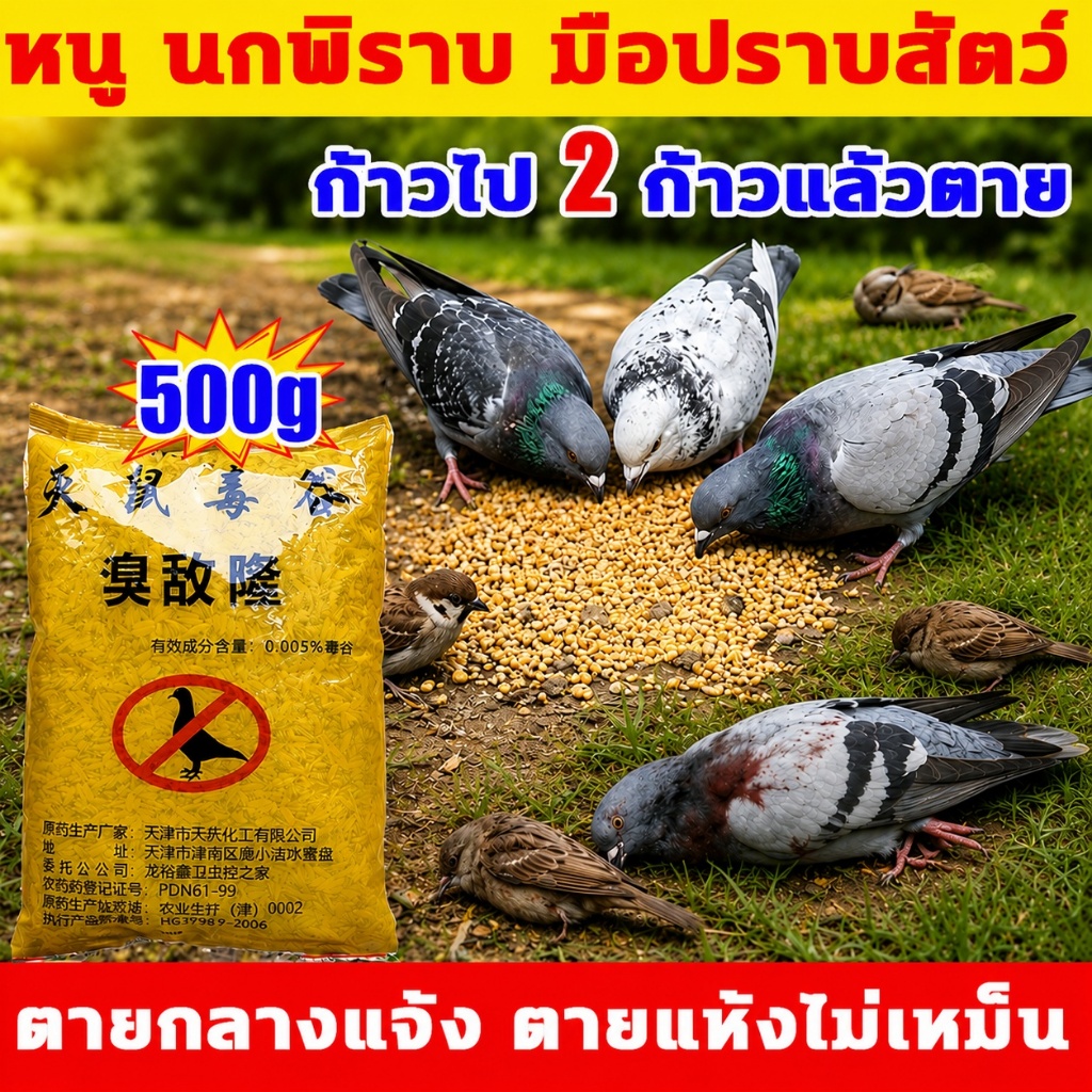 🦜100% ได้ผล500g🦜ยาฆ่านกพิราบ เหยื่อกำจัดนกพิราบและนกทุกชนิด ยาเบื่อ นกพิราบ กินง่ายตายไว เห็นผลชัวร์ 500% ไม่มีนกรบกวน