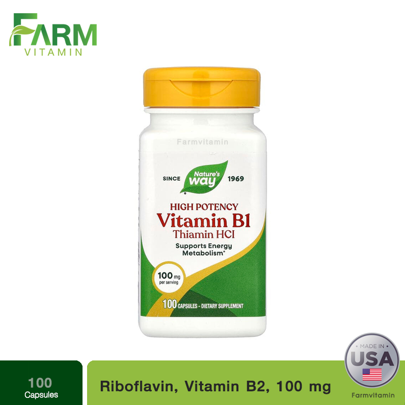 Nature's Way, Vitamin B-1, 100 mg, 100 Capsules