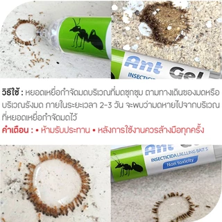 【ส่งจากกรุงเทพฯ】เจลกำจัดมด ยาฆ่ามด 45g ตายยกรัง าฆ่ามด แอนตี้แอนท์ เจลหยดเดียว ตายยกรัง กำจัดมด
