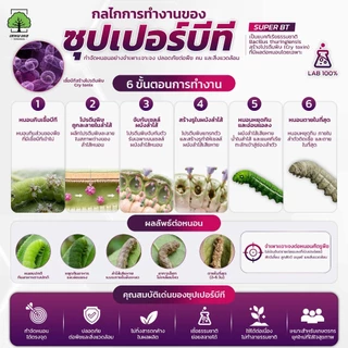 ซุปเปอร์บีที ตราเทพมงคล ชีวภัณฑ์กำจัดหนอน เชื้อบีที (Bacillus thuringiensis) 500 กรัม 1 ซอง