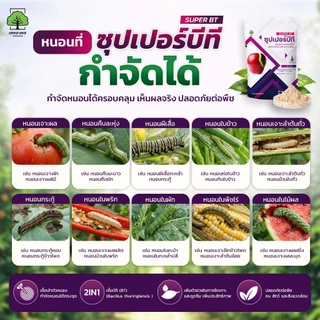 ซุปเปอร์บีที ตราเทพมงคล ชีวภัณฑ์กำจัดหนอน เชื้อบีที (Bacillus thuringiensis) 500 กรัม 1 ซอง