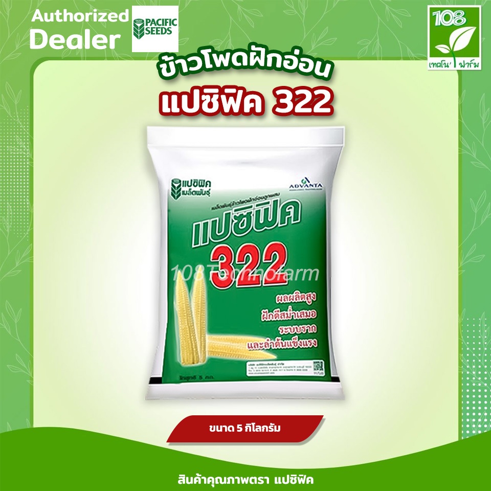 เมล็ดพันธุ์ข้าวโพดฝักอ่อน 322 ขนาด 5 กิโลกรัม ตราแปซิฟิค ผลผลิตสูง ฝักดีสม่ำเสมอ ระบบรากและลำต้นแข็งแรง