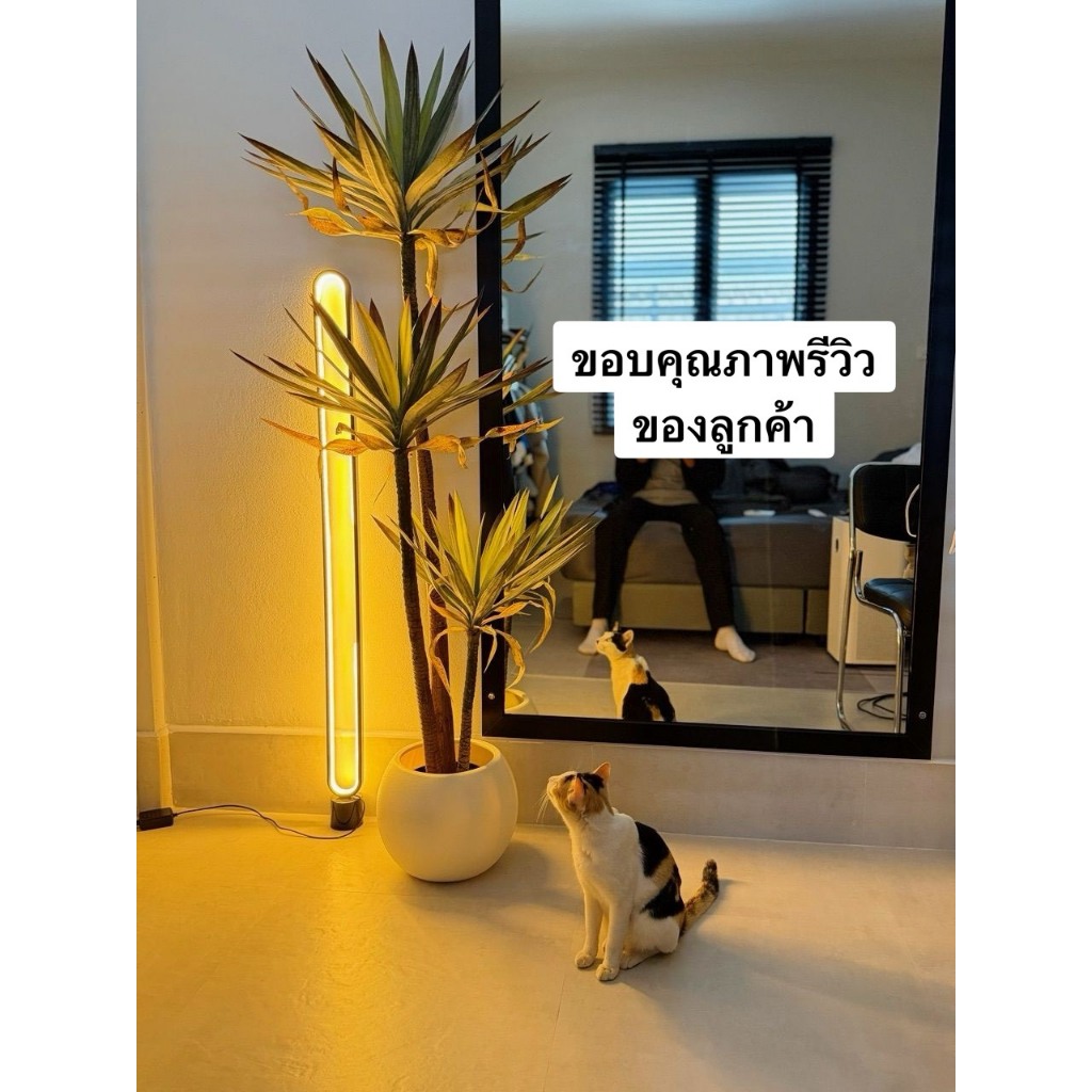 กระถางพลาสติกเนื้อแข็งทรงกลม มี 3 ขนาด ไม่มีรู