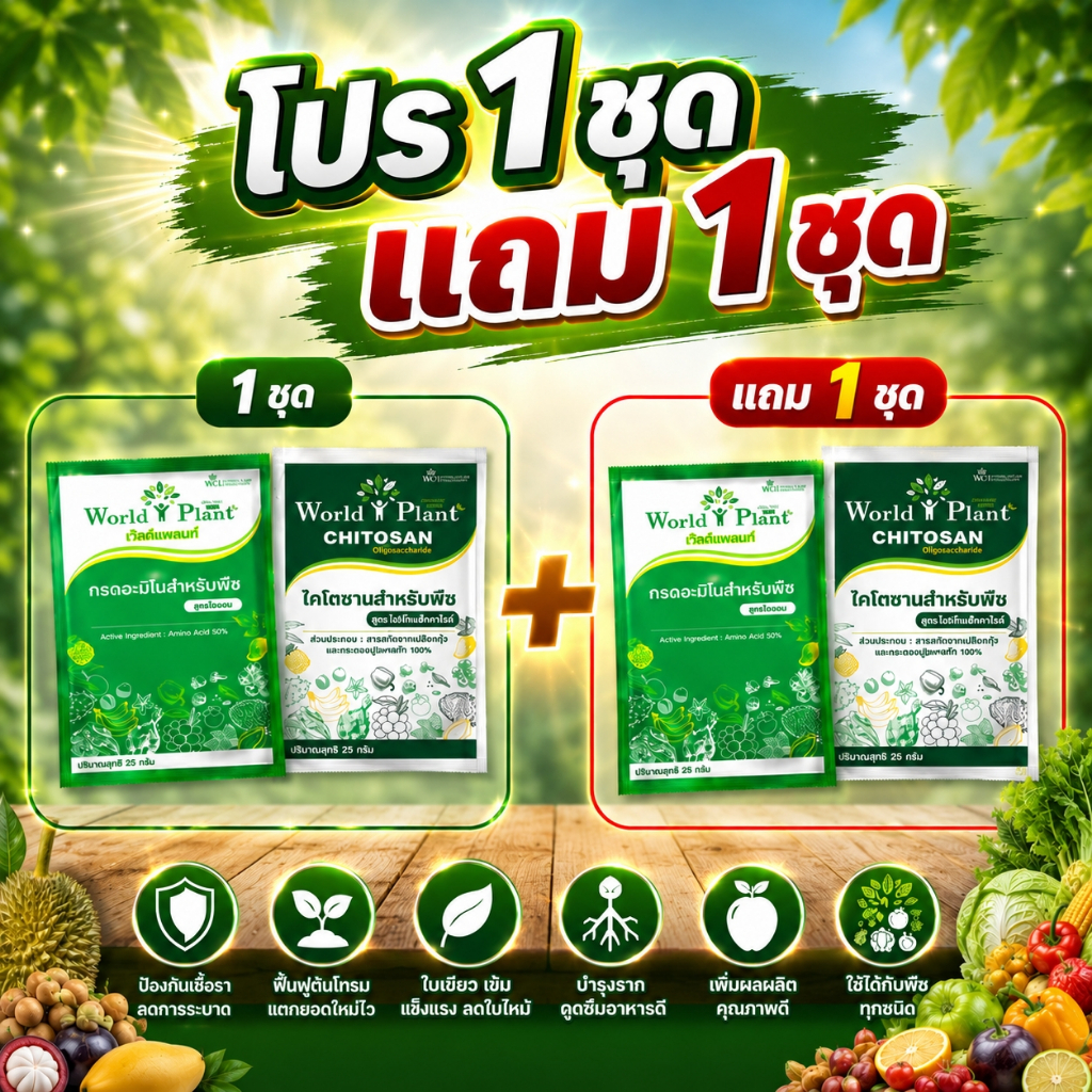 โปรแรง ซื้อ 1 ชุด แถม 1 ชุด!  • กรดอะมิโนสำหรับชุดดูแลพืชสูตรฟื้นต้น + บำรุงครบจบในชุดเดียว ประกอบด้วย • กรดอะมิโนสำหรับ