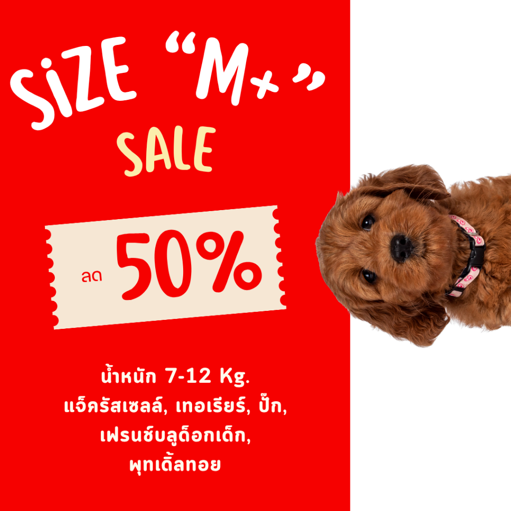 Size M+ (SALE 50%) ทุกรายการ  *สินค้ามีตำหนิ ชุดกันขนร่วง